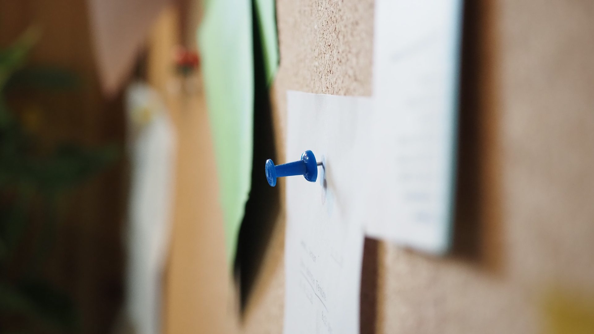 Close-up of a blue pushpin holding a paper notice on a cork noticeboard